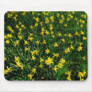Recherche de narcisse tapis souris Jonquilles
