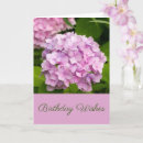 Recherche de hydrangea anniversaire cartes Pour elle