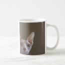 Recherche de sphynx tasses Sphinx