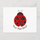 Recherche de petite coccinelle cartes postales Pour tous