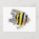 Zoek naar angelfish briefkaarten Engelvis