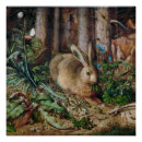 Zoek naar hazen posters Bloem