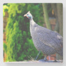 Zoek naar lege onderzetters Douane