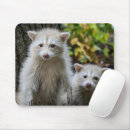 Recherche de racoon tapis souris Forêt