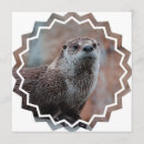 Zoek naar otters uitnodigingen Onderwater