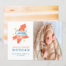 Recherche de carotte invitations Lapin mignon