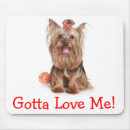 Recherche de yorkie tapis souris Chiots