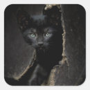 Recherche de yeux verts autocollants Animaux