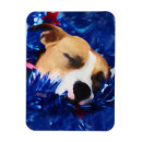 Recherche de pitié magnets Chien