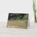 Recherche de dindes vœux cartes Animaux