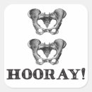 Recherche de anatomie autocollants Humour