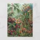Recherche de plantes vertes cartes postales Biologie