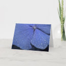 Zoek naar hydrangea hortensia kaarten Blauw