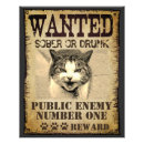 Zoek naar funny cat kunst Humor