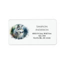 Recherche de loups gris Nature