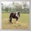 Recherche de cheval vintage posters Nature