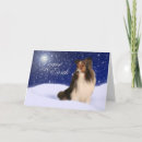 Recherche de sheltie vœux cartes Vacances