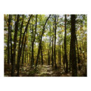 Zoek naar oktober posters Natuur