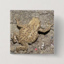 Zoek naar paddestoelen buttons Schattig