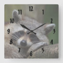 Recherche de repos horloges Sauvage