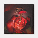 Recherche de ballerine magnets Performance