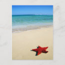 Recherche de mer rouge cartes postales Nautique