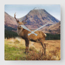 Zoek naar schotland klokken Bergen