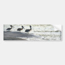 Recherche de oiseaux voiture autocollants Faune