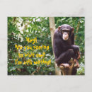 Recherche de chimpanzee postcards cartes postales Zoo