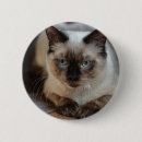 Recherche de peter badges Animal