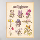 Recherche de fleurit posters Rétro