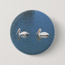 Zoek naar witte veren buttons Liefde