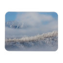 Recherche de gelée magnets Forêt