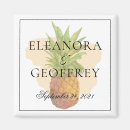 Recherche de hawaïen magnets Ananas