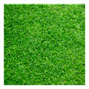 Recherche de herbe verte posters Nature