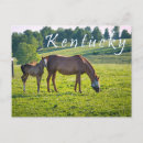 Recherche de de bluegrass posters État