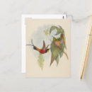 Zoek naar john gould briefkaarten Kolibrie