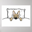 Recherche de chien de berger posters Amoureux des chiens