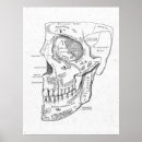 Recherche de anatomy posters Medical
