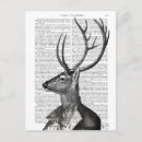 Recherche de animaux noir et blanc cartes postales Amoureux des animaux