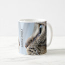 Recherche de gros chat tasses Mignon