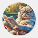 Recherche de m grincheux magnets Amoureux de les chats