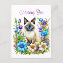 Recherche de de chat siamois cartes postales Yeux bleus