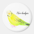 Recherche de perroquet vert magnets Aquarelle