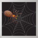 Recherche de araignées posters Nature