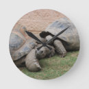 Recherche de géant horloges Mignon
