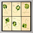 Recherche de kirchner posters Raphael