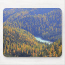Recherche de passage tapis souris Paysage