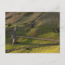Recherche de moai cartes postales Chili