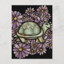 Recherche de coquille de tortue cartes postales Tortues